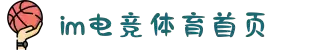 IM(股份有限公司)电竞-电子竞技平台