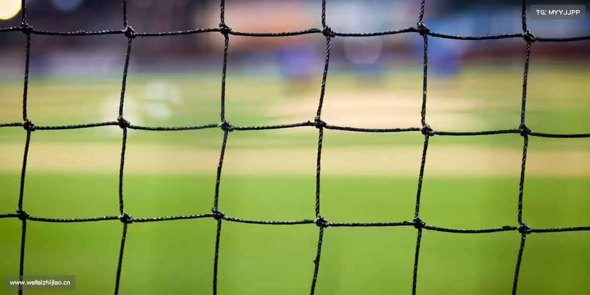 我们的品牌价值